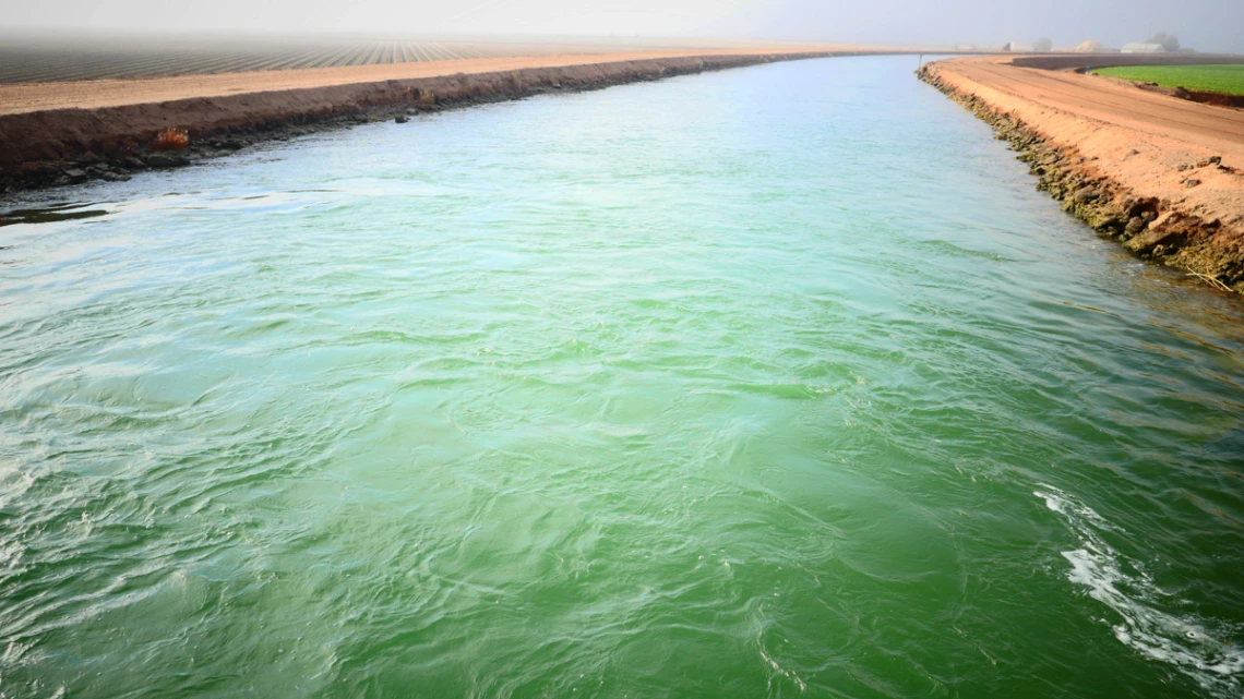 Rosa Bevington - Canal Fog - Yuma