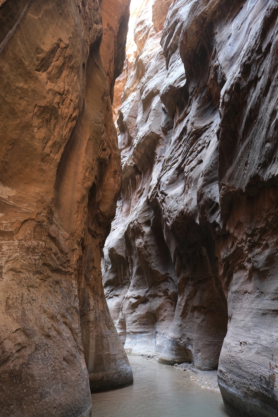 Jenell Biggs - The Narrows 2020 Zion National Park Utah