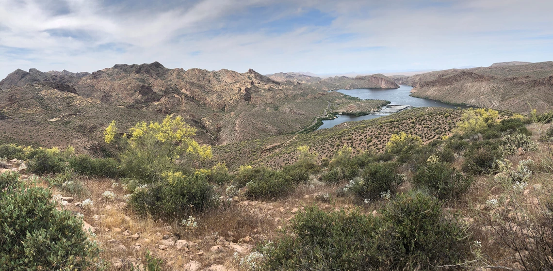 Jenell Biggs - Spring at Canyon Lake 2020 Arizona