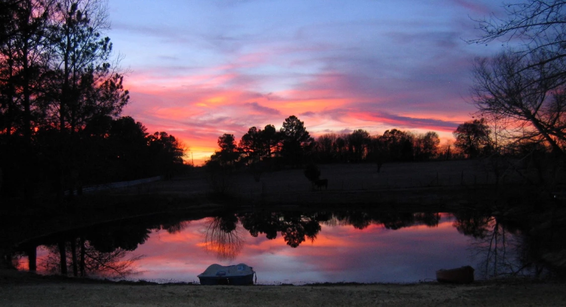 Annette Coffey - Sunset on the Farm 2005 Lindale