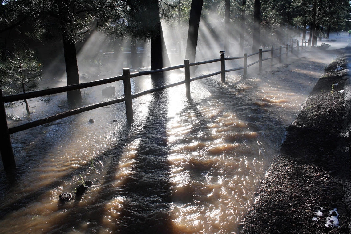 Annette Coffey - 2013 August Flood in Pinetop