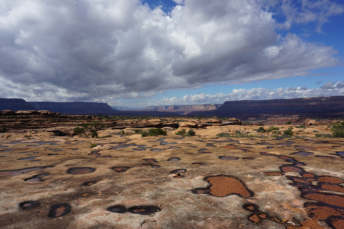 Lauren Hixson - Pools On The Esplanade Grand Canyon 2018