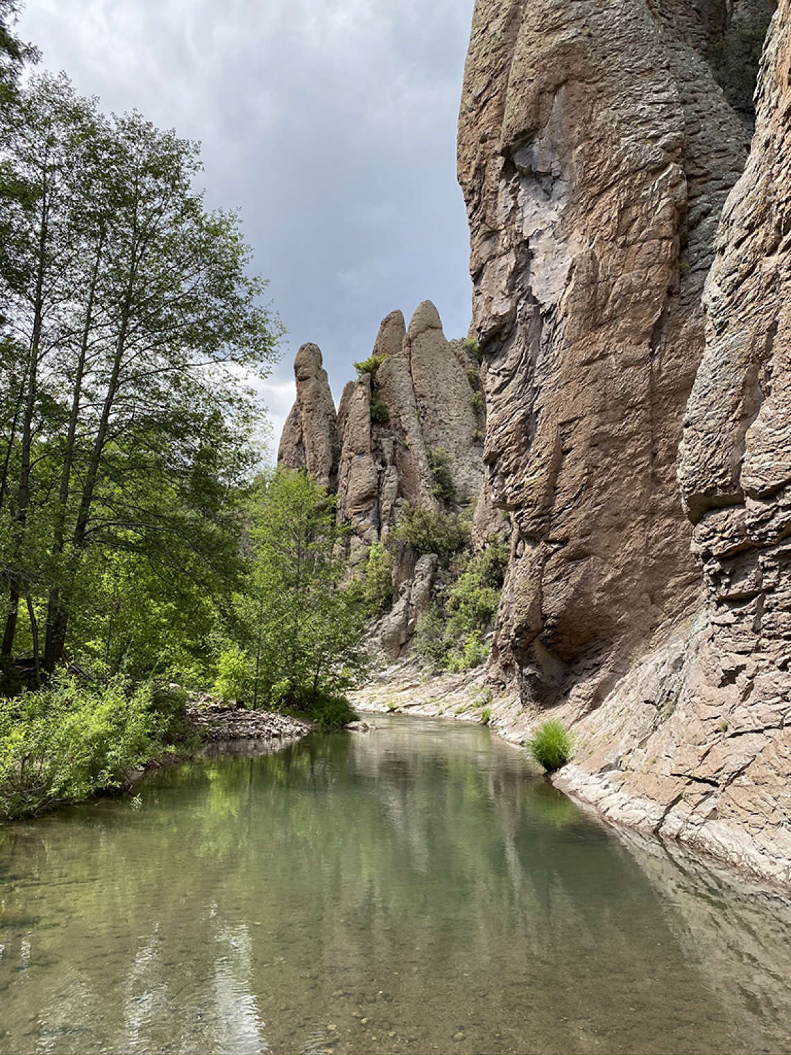 Wm Hughes - Gila River NM 2020