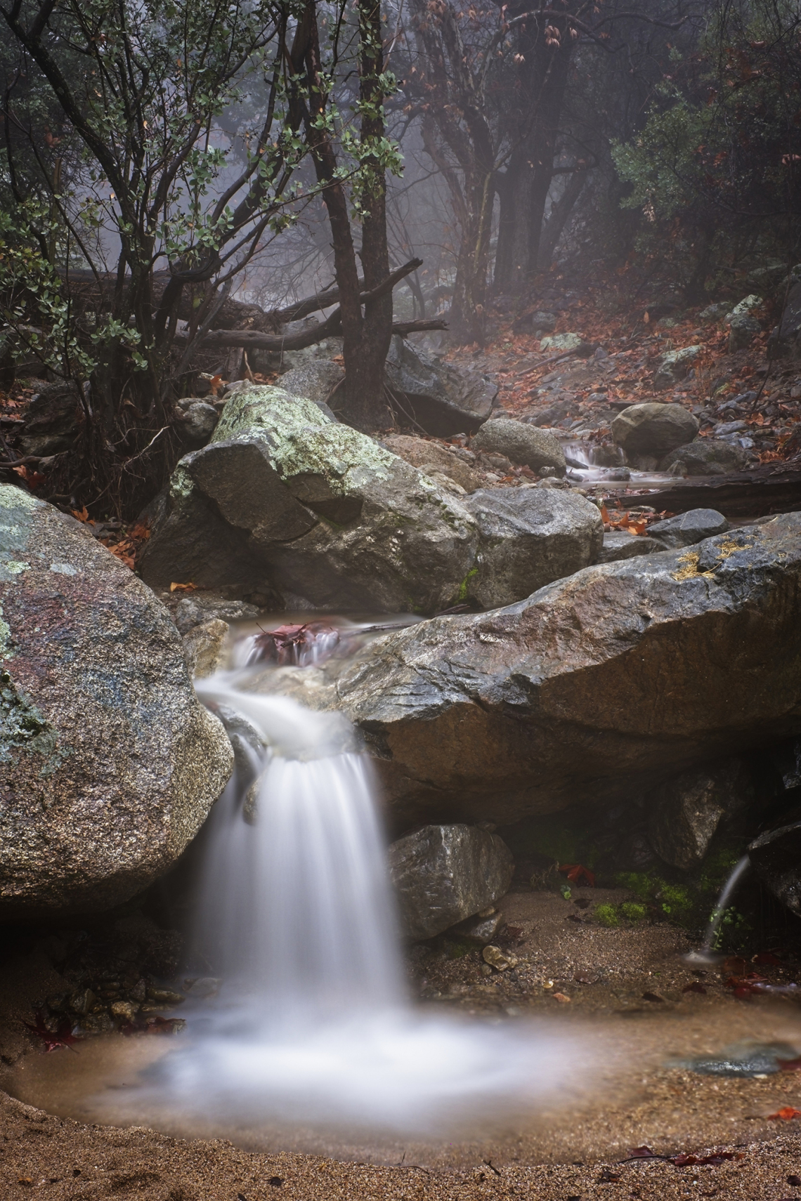 James Lindstrom - Misty Morning Pinal Mountains 2019 GlobeAZ