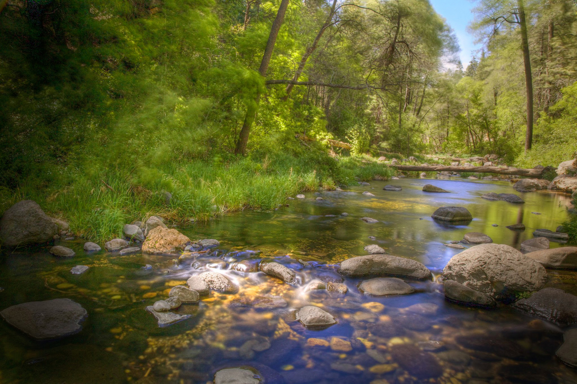 David Quintero - Flowing Creek 2014 Sedona