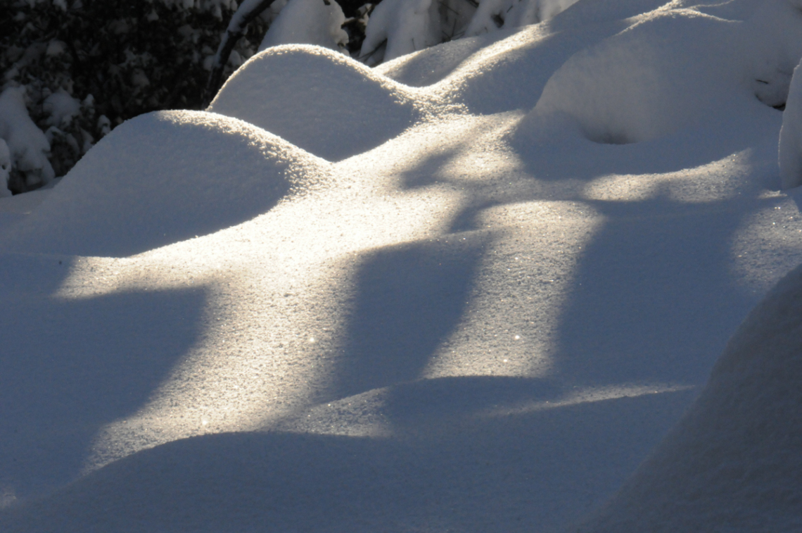 William Radke - Fresh Snowfall - Prescott Arizona