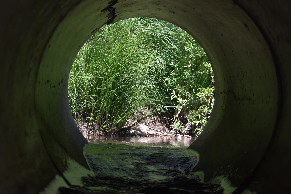 Cindy Rettinger - Pipe East Verde River