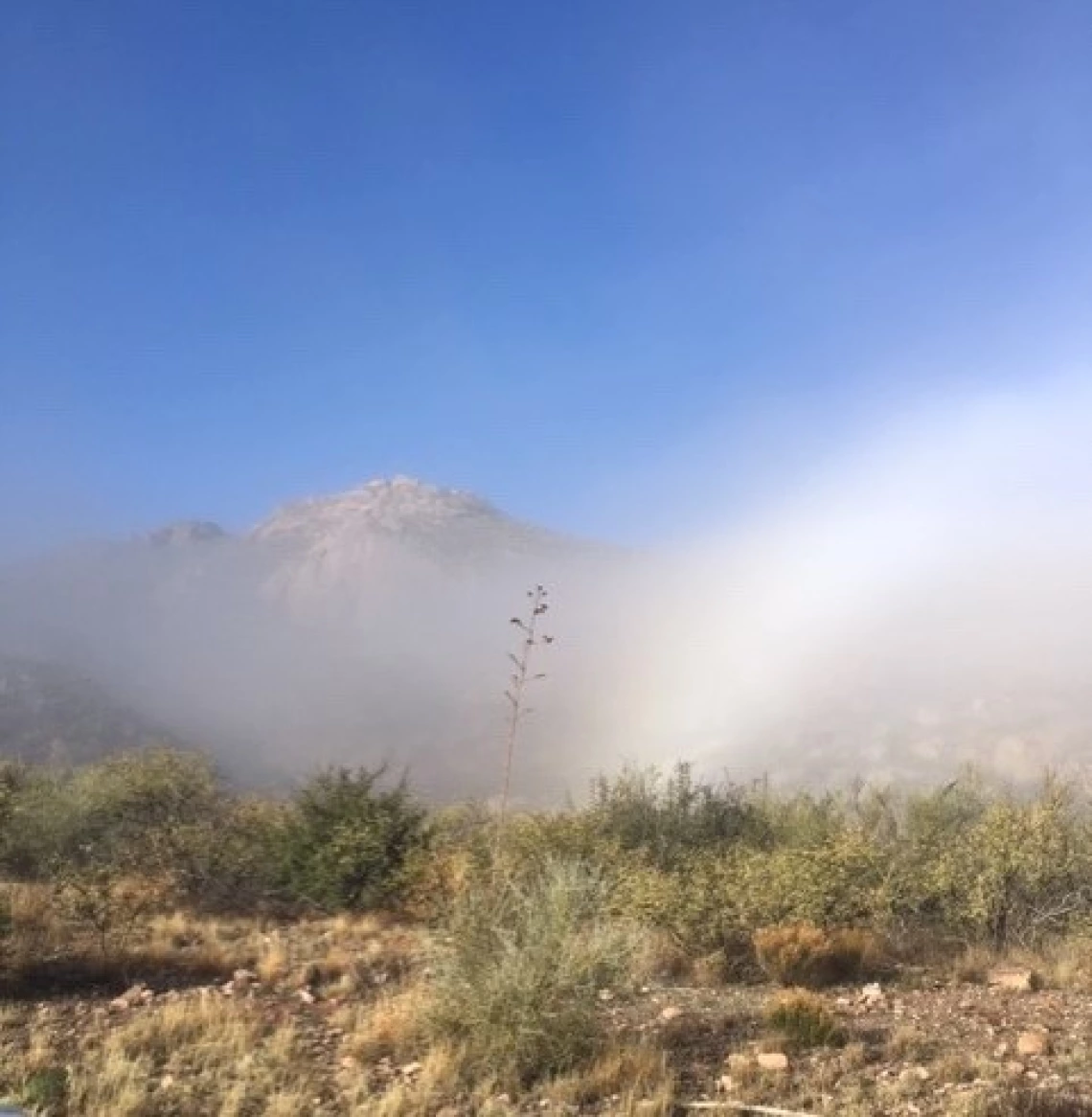 Shirley Roemer - Fogbow 2020 Tumacacori