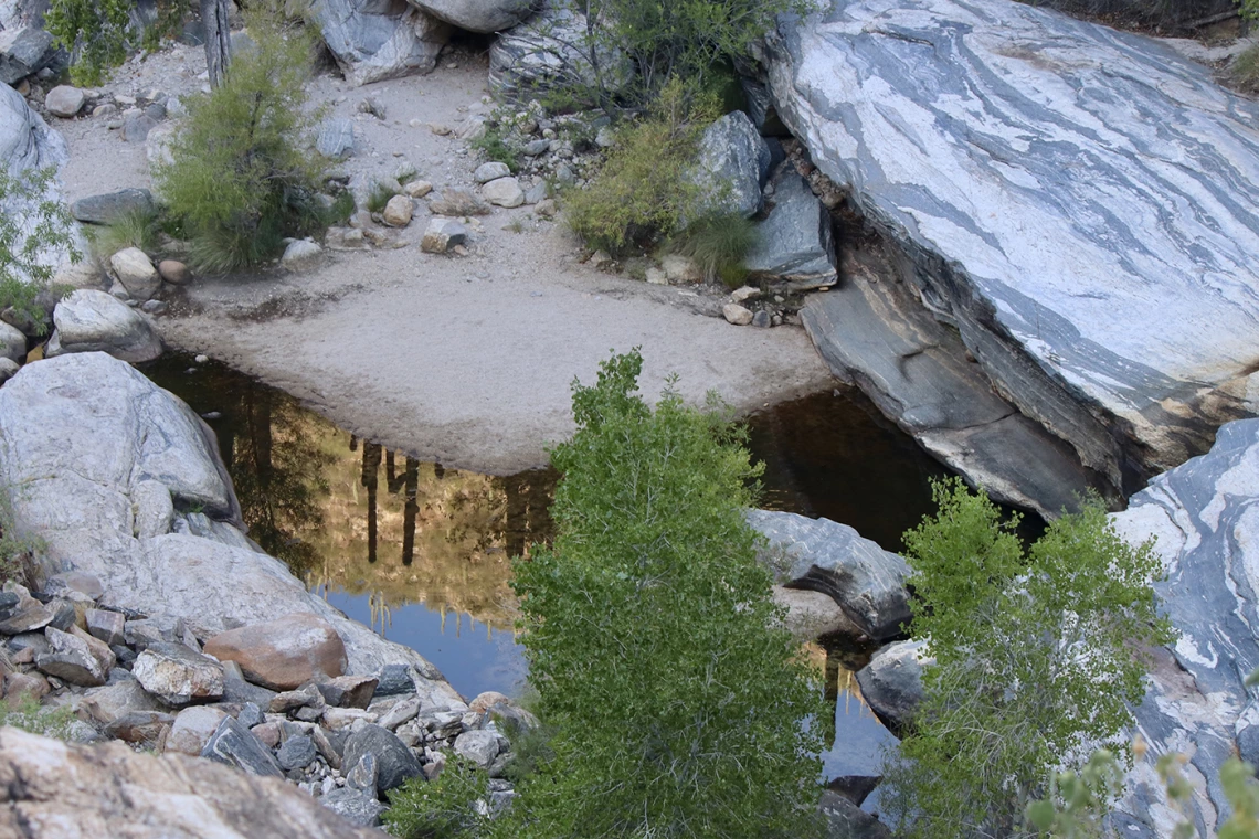 Roger Wolf Sabino Creek