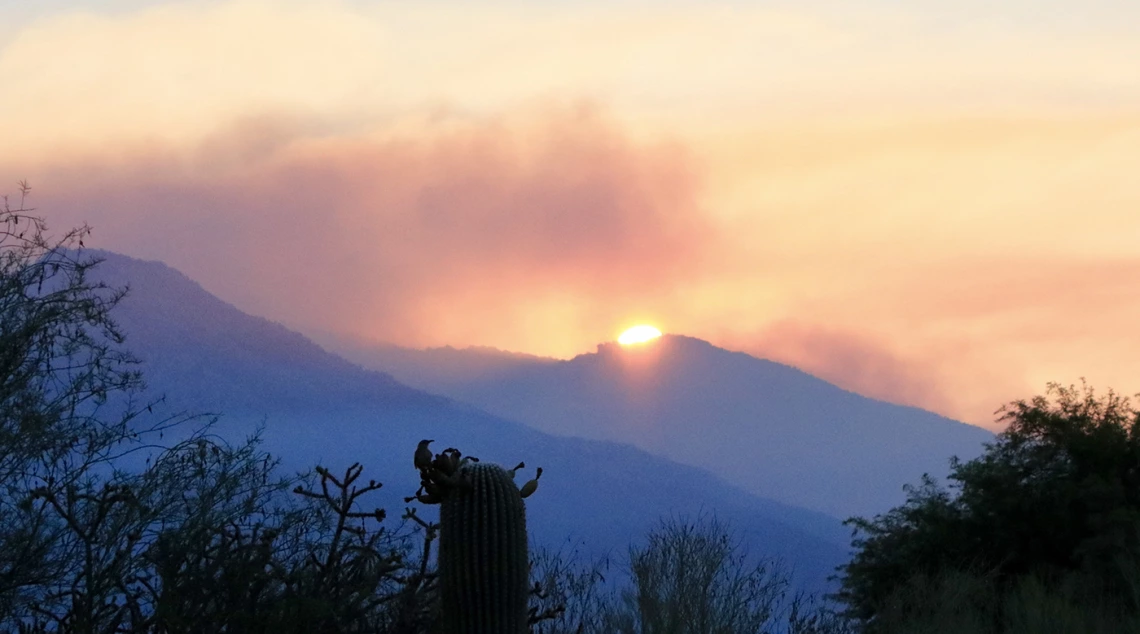 Roger Wolf - catalina mountains