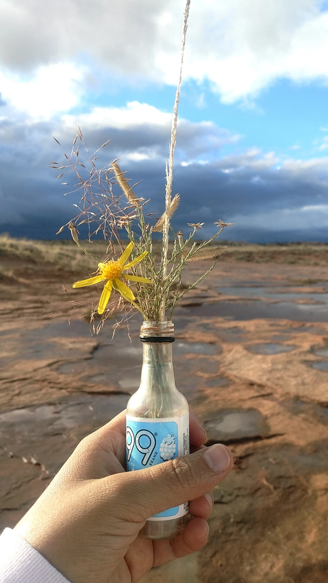 Natila Sherman Robbins - Rezflections - Tonalea, Az Navajo Nation