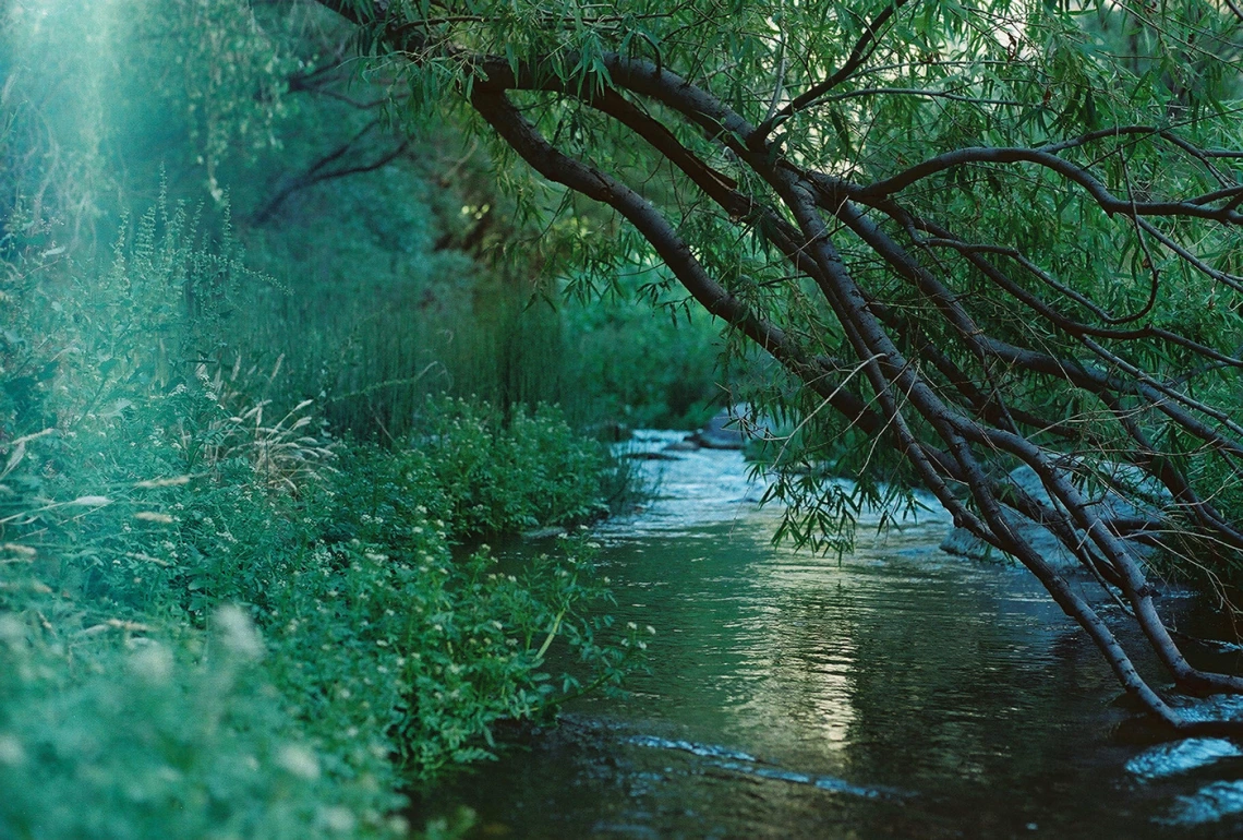 Shelby Thompson - Lenker Effect 2021 Aravaipa Canyon