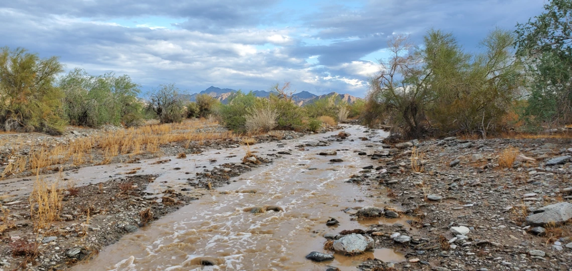 Bert Bell - Rain in the Desert