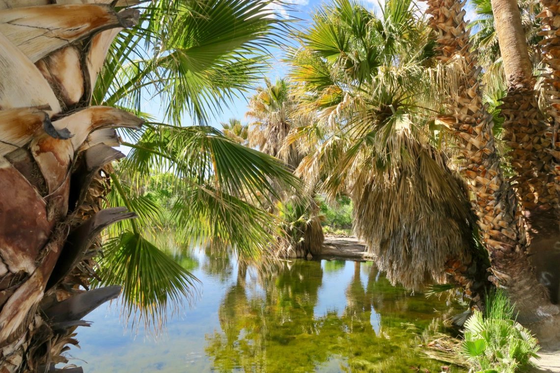 Gilles Boyer - Agua Caliente Park