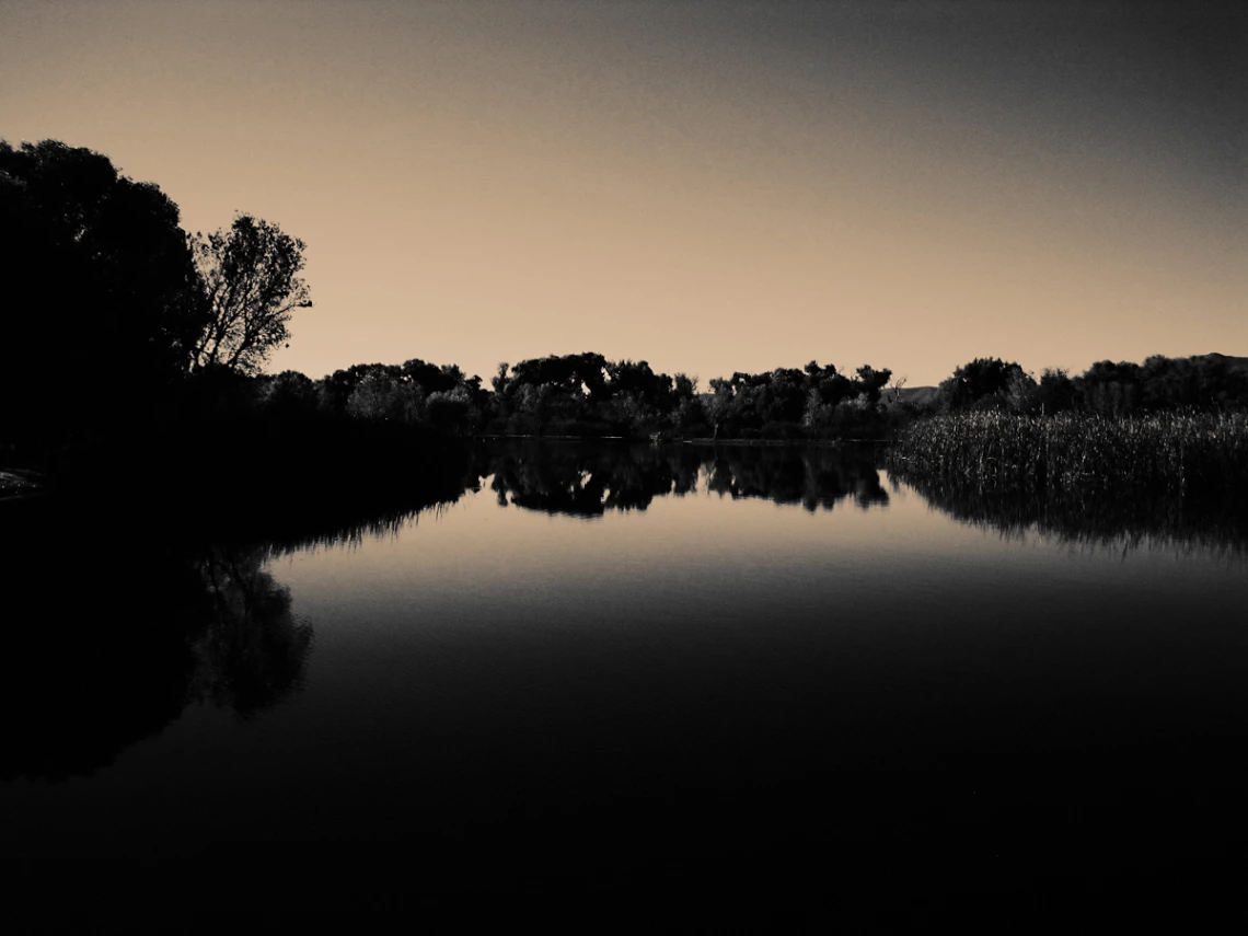 Bill Helm - Verde River Dead Horse - Cottonwood 2013