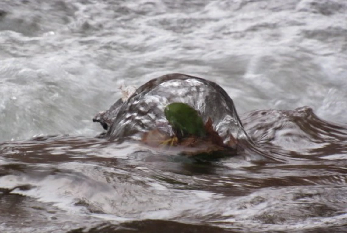 Annah Nyburg - The art of water - Sedona 2019