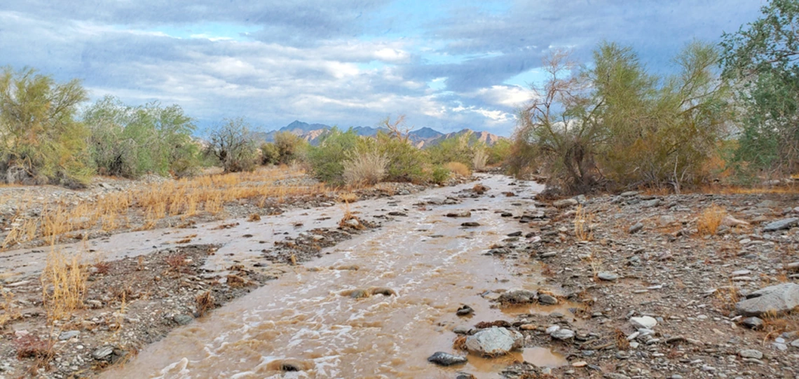 Bert Bell - Rain in the Desert