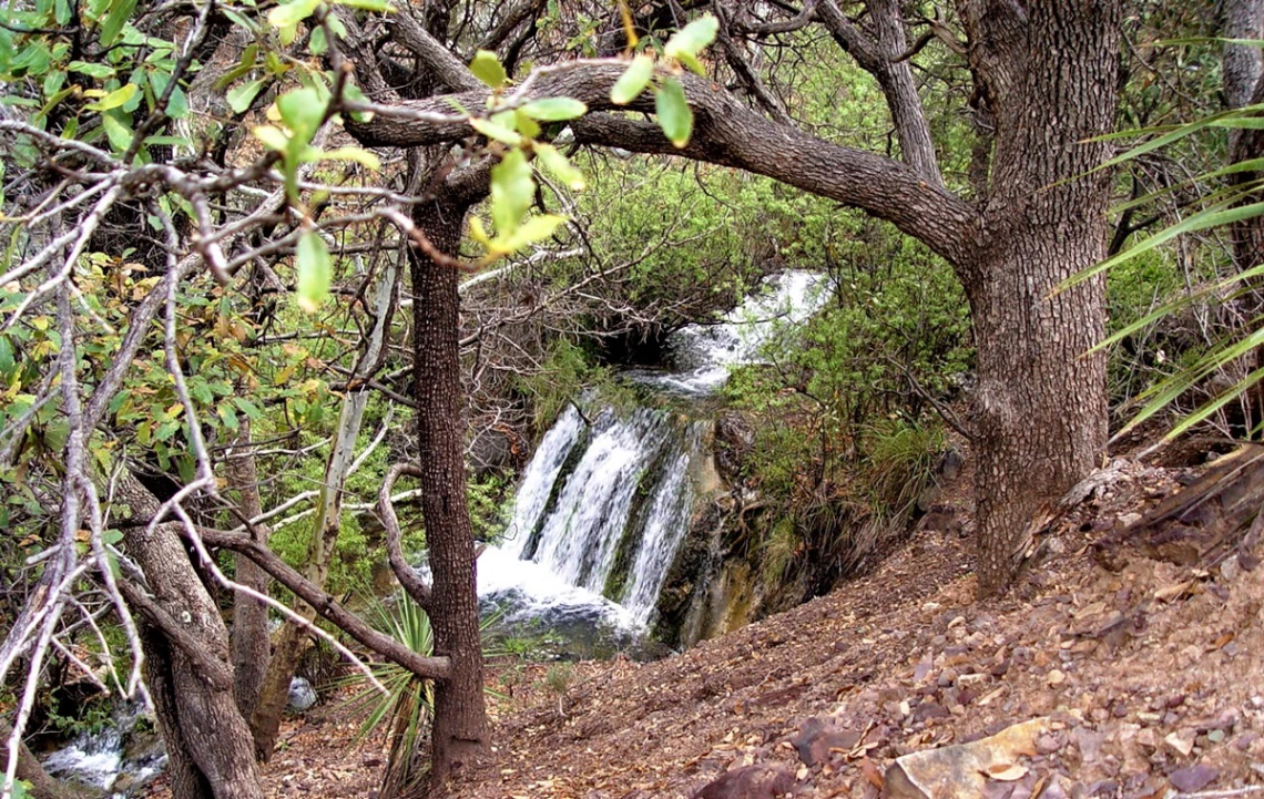 Joanne Roberts - Canyon waterfall- Ft. Huachuca 2010