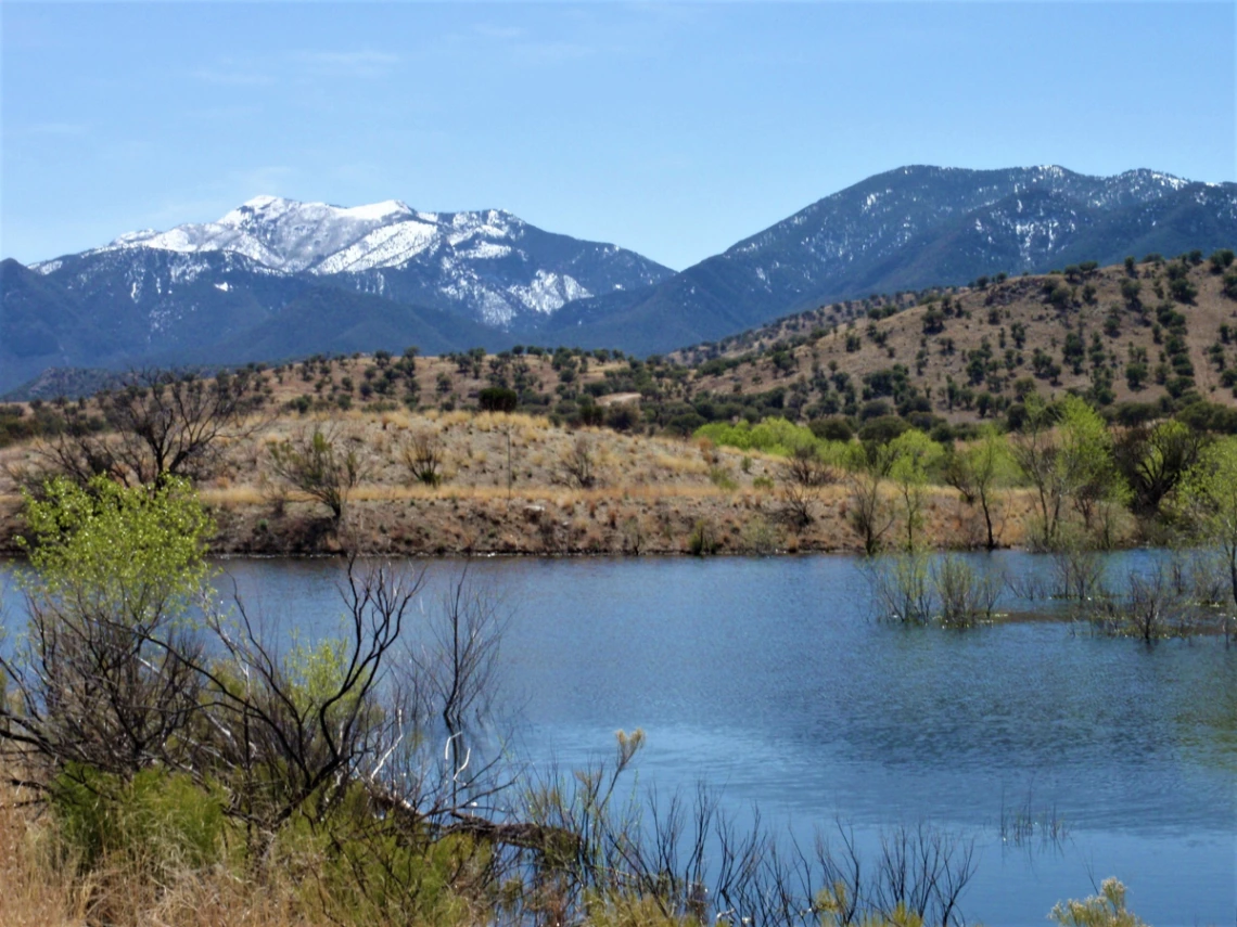 Joanne Roberts - Gravel pit pond - Ft. Huachuca 2010