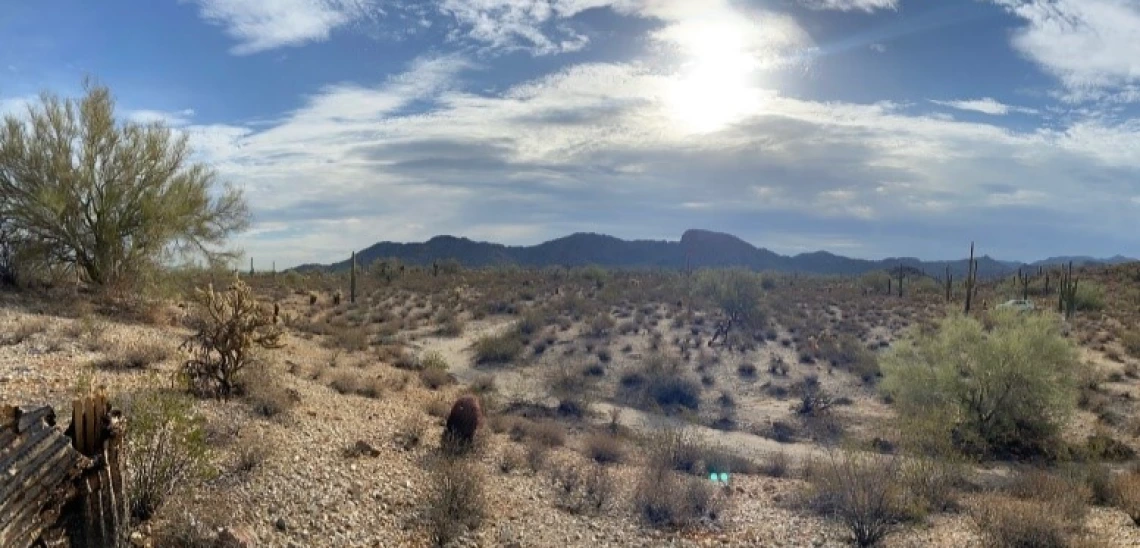 Photo of Hassayampa River desert region