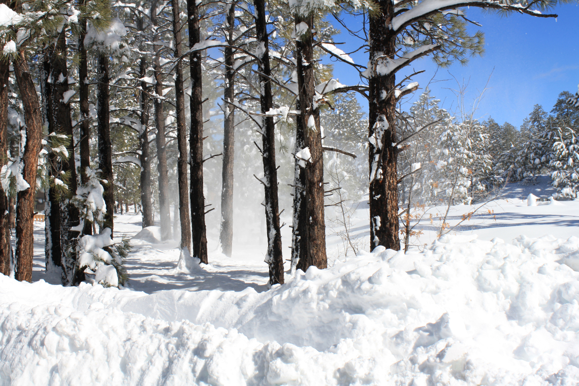 Annette Coffey photo showing snowfall on the pinetop golf course