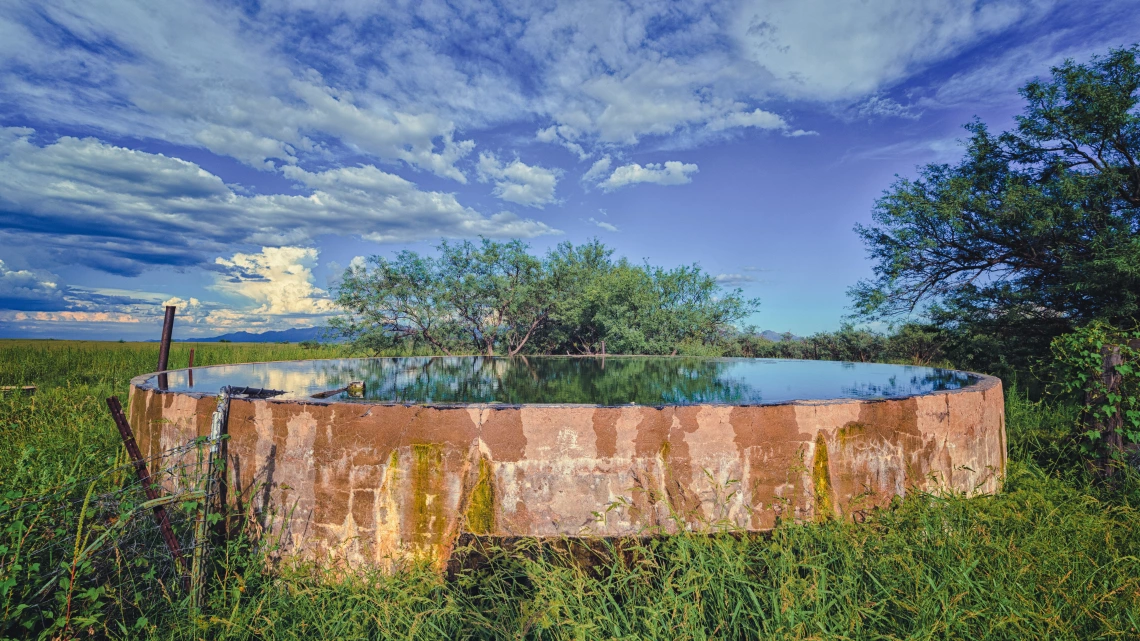 Eric Jewett photo of a cattle watering tank with a nice reflection