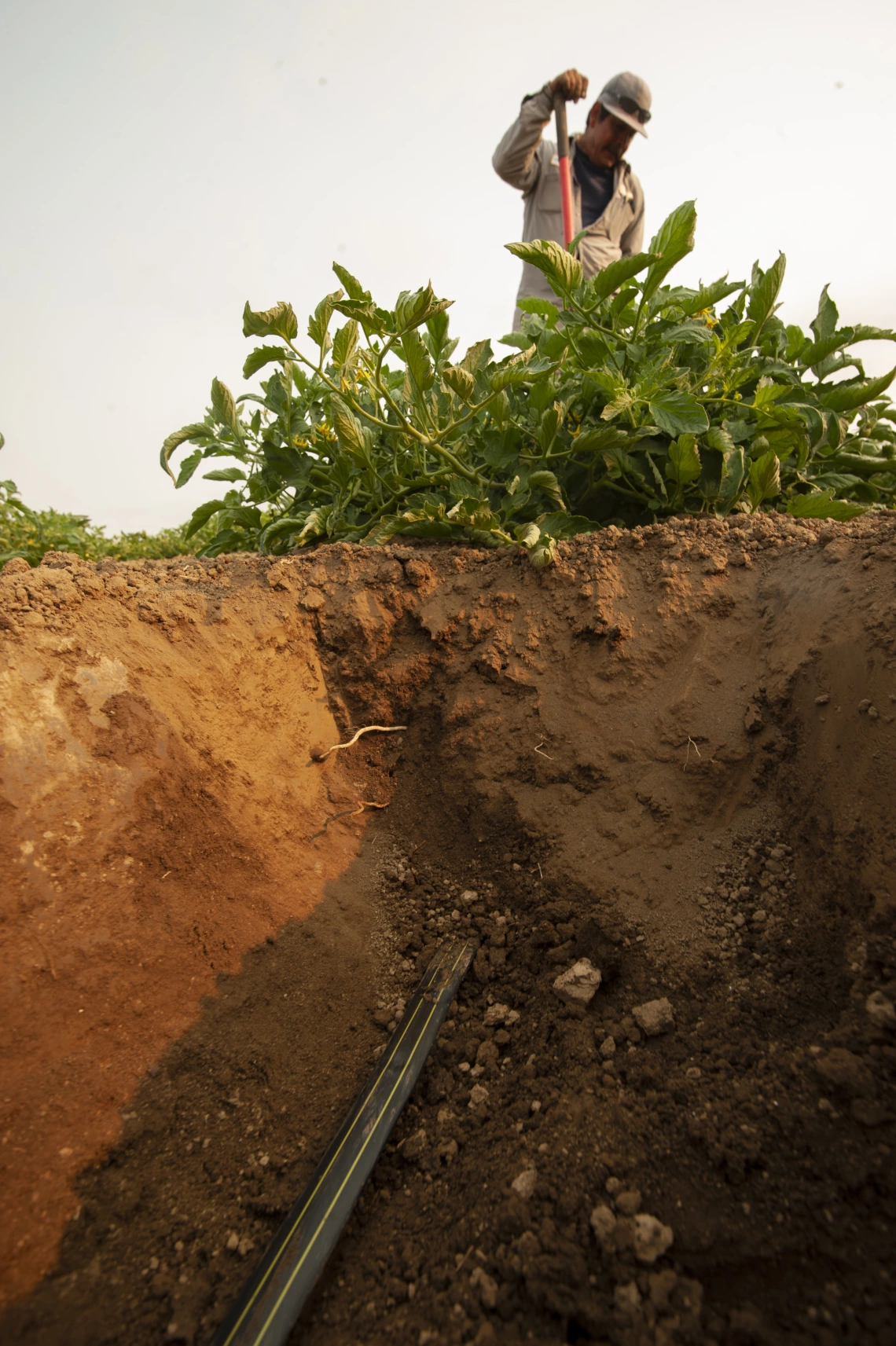 Isaya Kisekka; Surbsurface drip irrigation as climate change adaption technology; Davis, CA; 2018