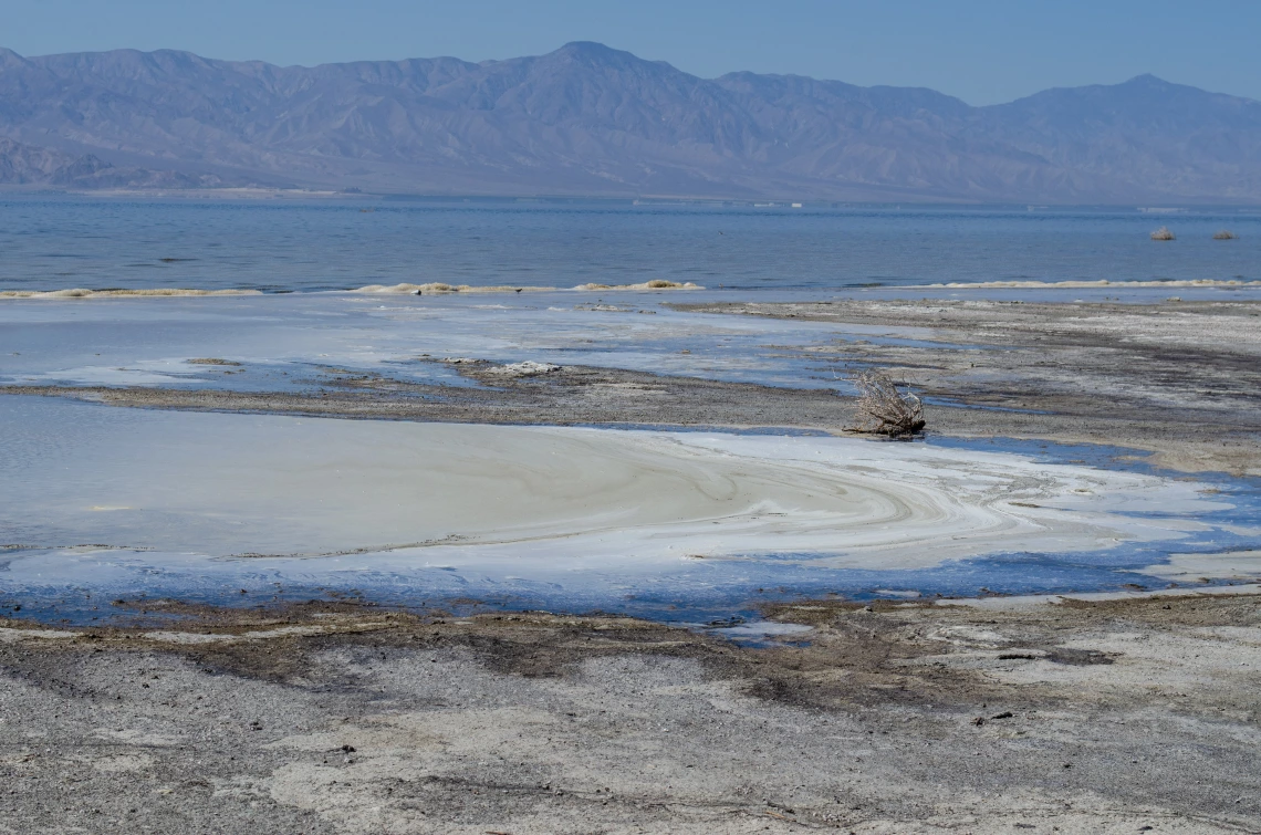 Marilyn Marron; Tides of decay; Salton Sea; 2022