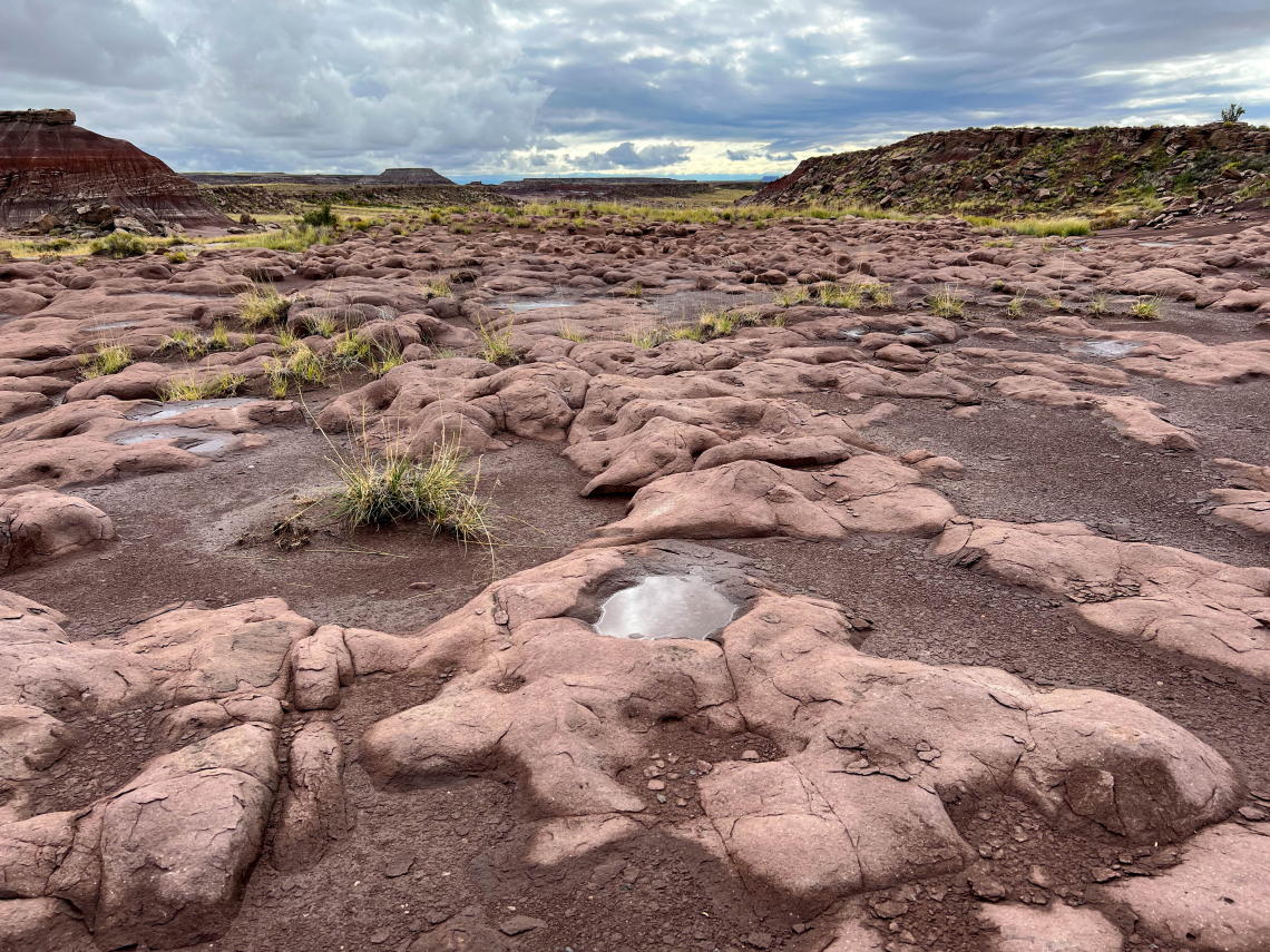 Marilyn Marron; Pools of life; Painted Desert; 2022