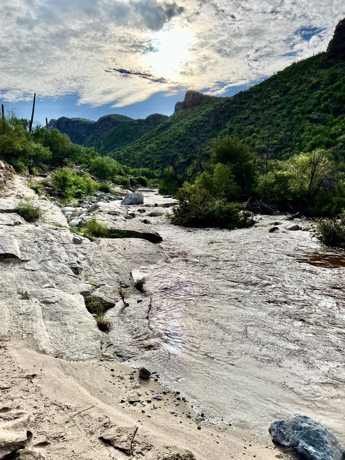 Raquel Nanez; Bear Canyon Creek, AZ