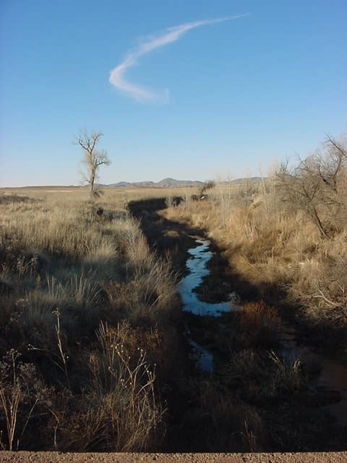 Jean Rodine photo showing a creek that slices through some grasslands