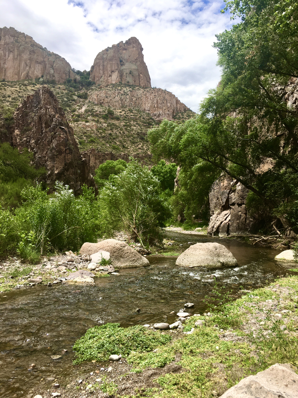 Donna Vetter photo showing riparian area 