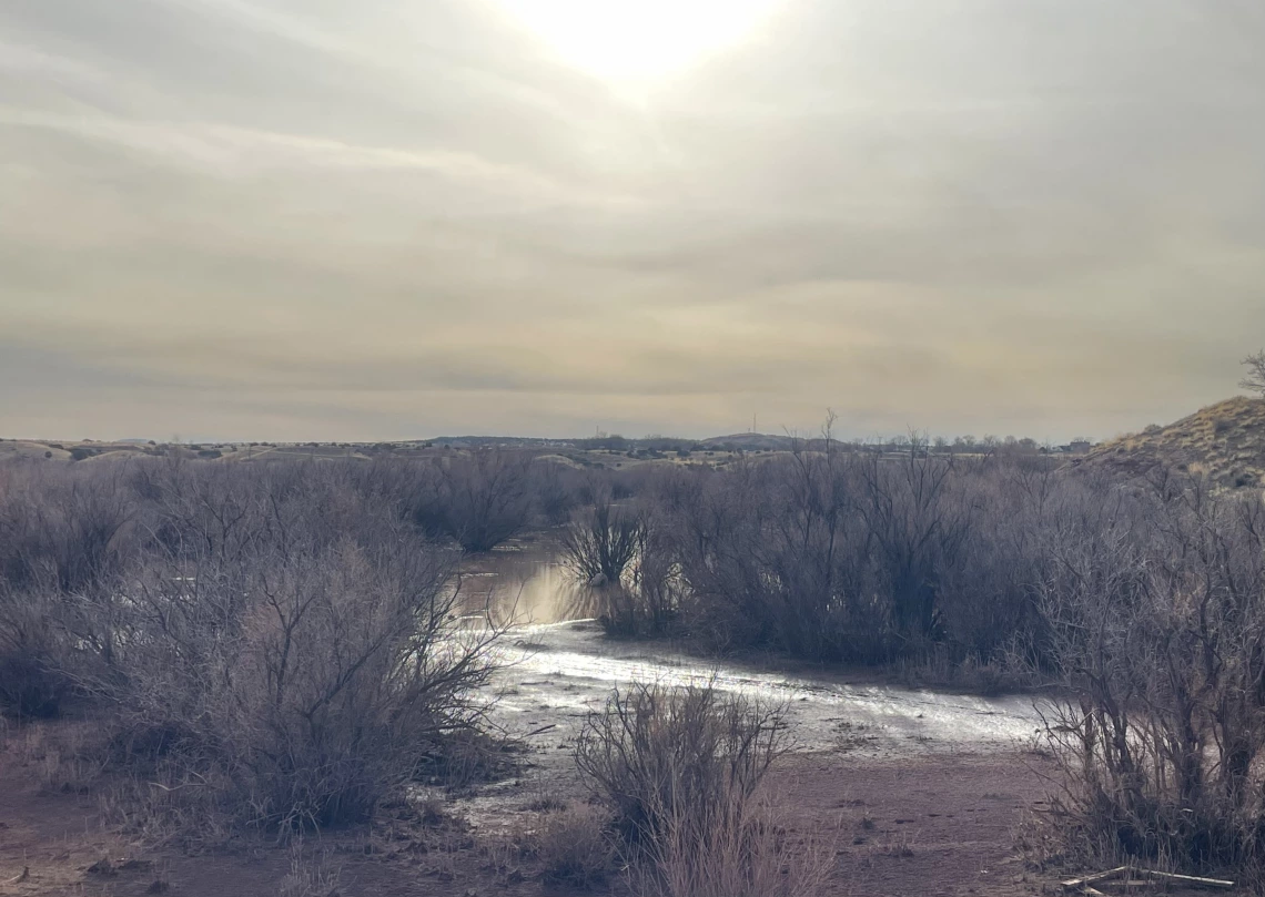 Holly Winters photo showing an ethereal desert scene at dusk