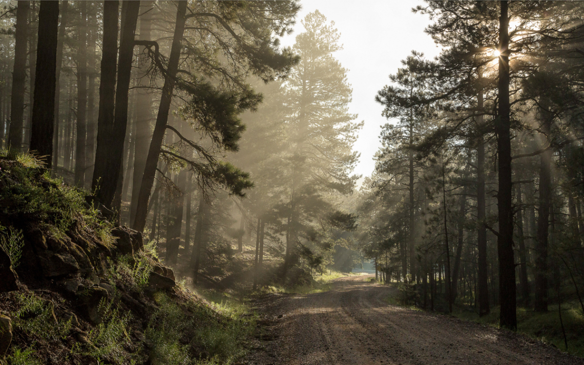 Sun Rays - Mogollon Rim 2018