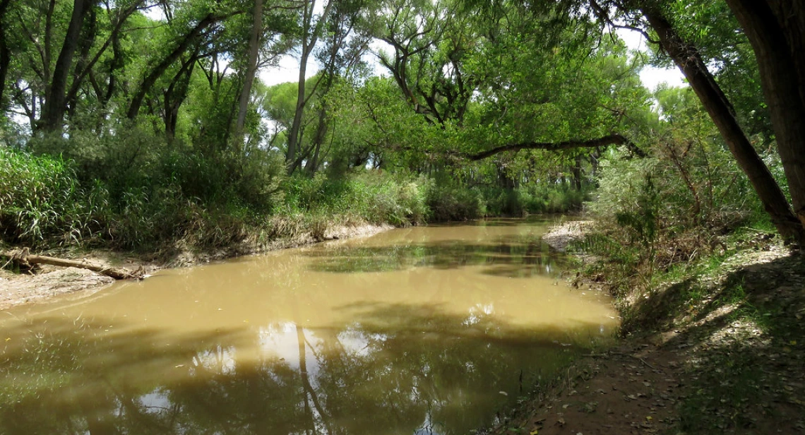 san pedro river