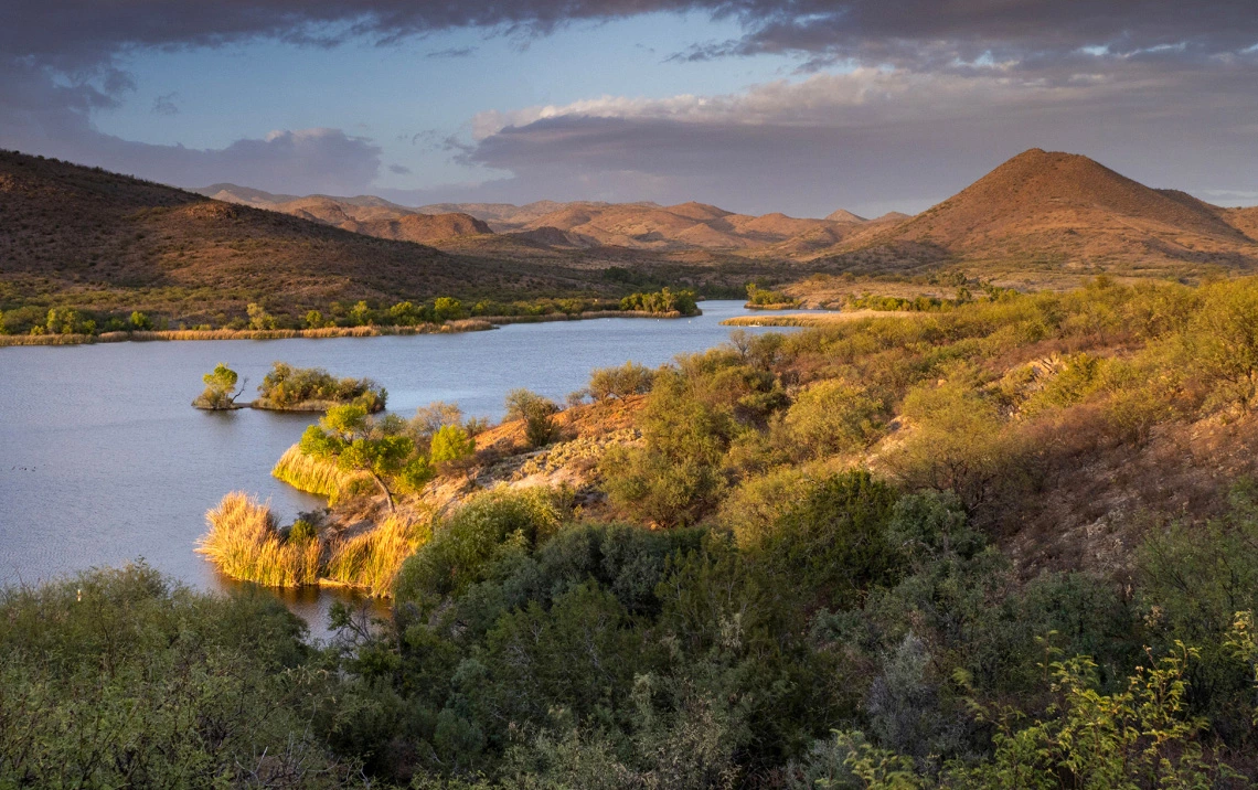 Colleen Miniuk - Sonoita Creek 2020