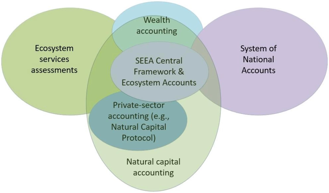 figure showing The relationships between natural capital accounting frameworks, ecosystem services assessments, and the System of National Accounts