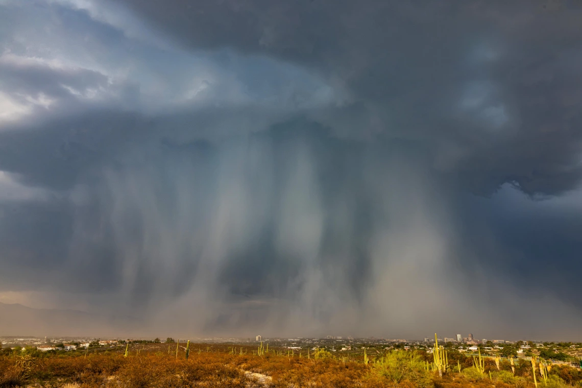 Liz Kemp - More than a Microburst, Pima Community College West Campus, Tucson, AZ, 2023