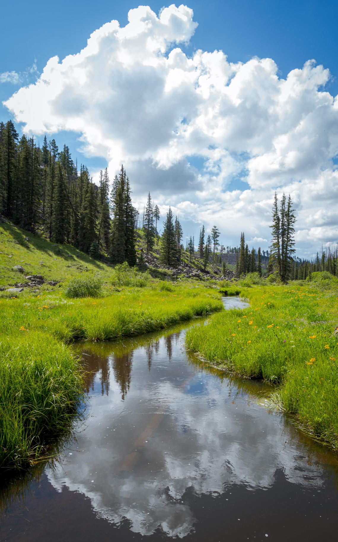 drozd-kristofer-02-black-river-reflection-2021-thompson-trail.jpg