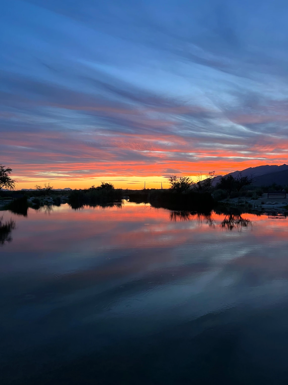 Sarah Lavelle - Agua Caliente, 2023