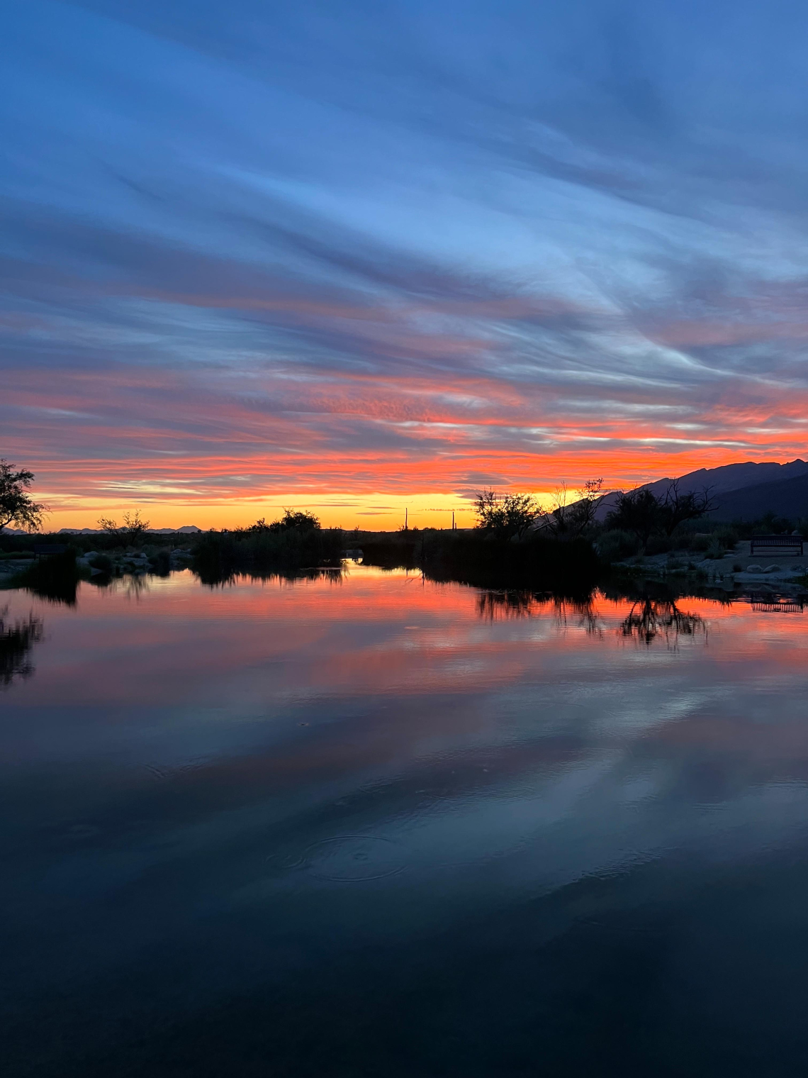 Sarah Lavelle - Agua Caliente, 2023