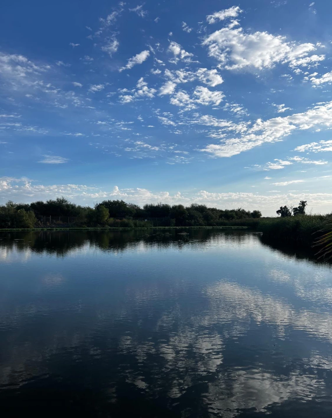 Wilzave Quilesguzman - Reflections in the Wetland, Phoenix, AZ, 2023