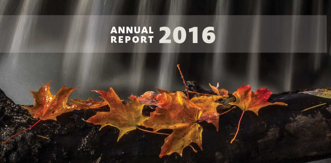 annual report 2016 cover 2016