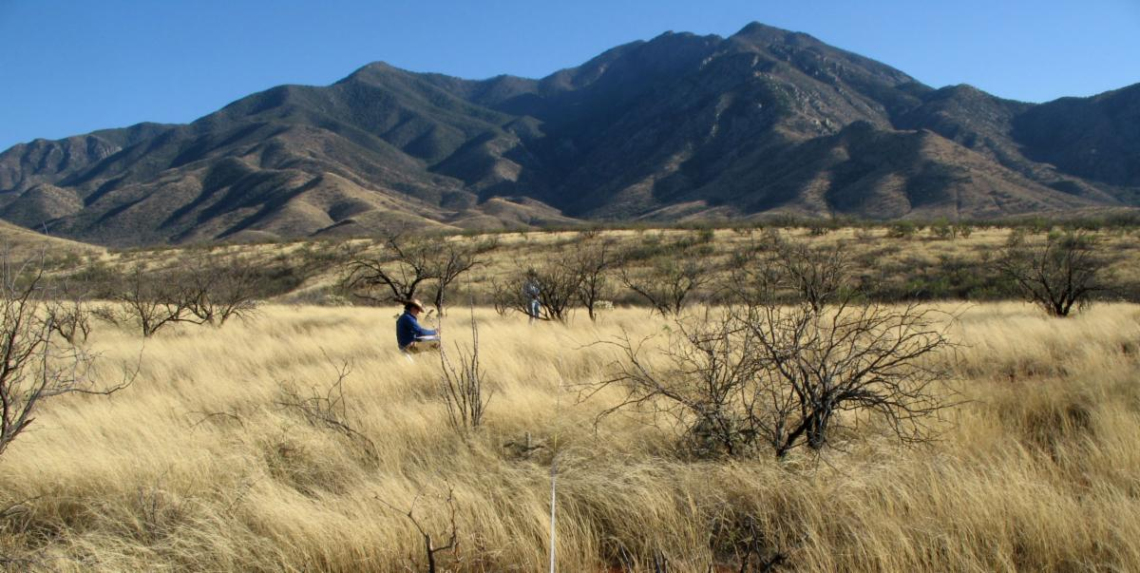 Mountain range with grass in foregound