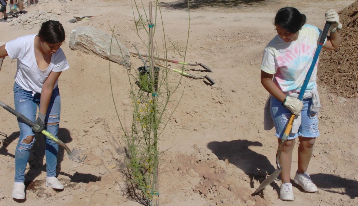 APW tree planting