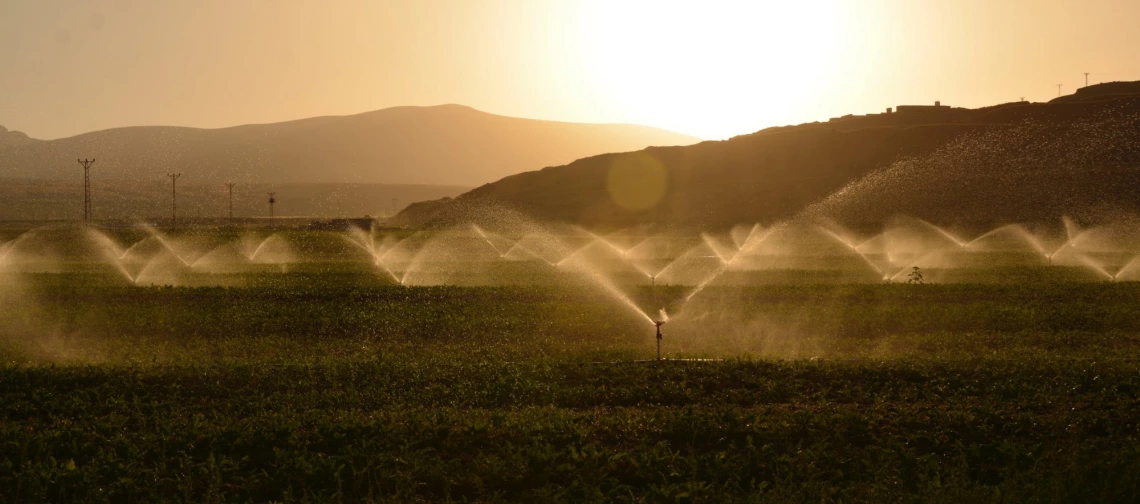 Water spraying a field