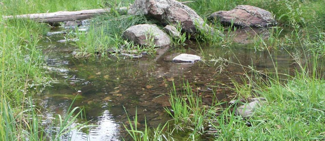 groundwater fed pool