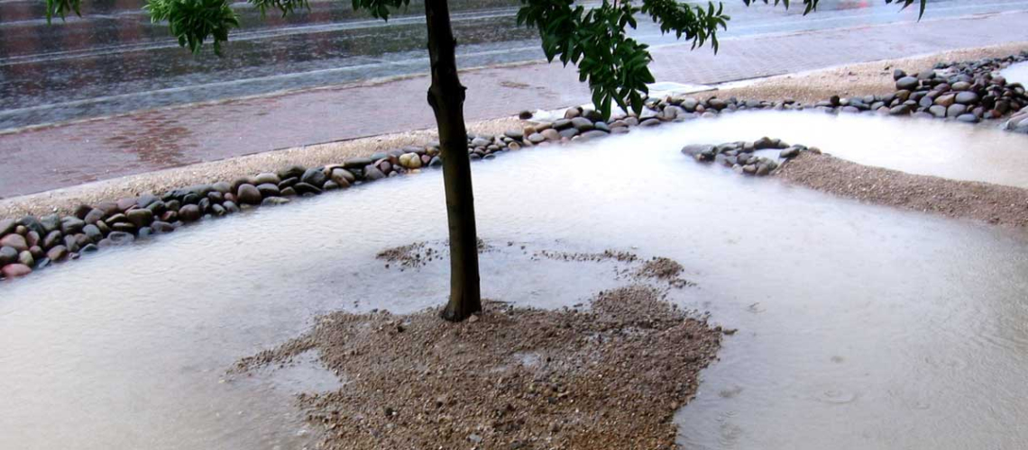 harvesting water on the UA campus