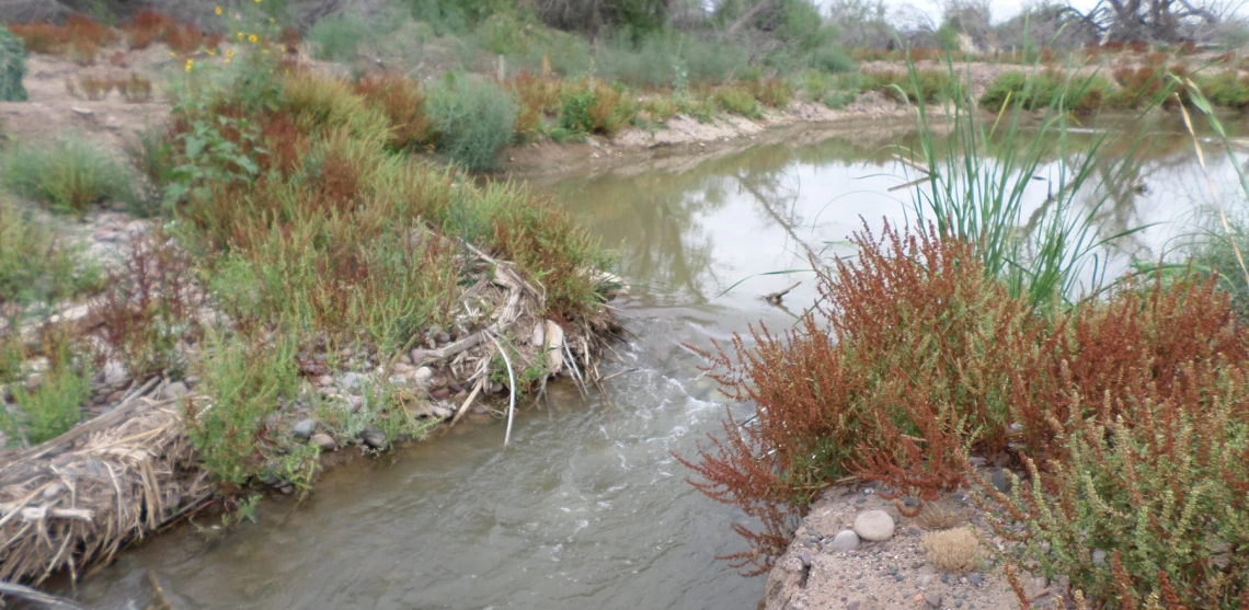 pee-posh-wetlands pee-posh-wetlands