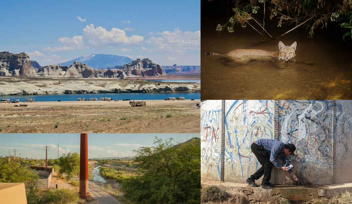 four images: top left: mountains and body of water, top right: large cat swimming, bottom left: houses near a stream, bottom right: a man picking something up